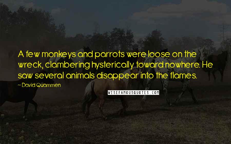 David Quammen Quotes: A few monkeys and parrots were loose on the wreck, clambering hysterically toward nowhere. He saw several animals disappear into the flames.