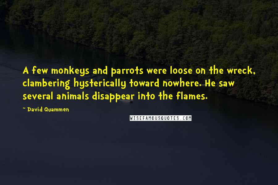 David Quammen Quotes: A few monkeys and parrots were loose on the wreck, clambering hysterically toward nowhere. He saw several animals disappear into the flames.