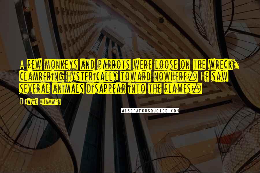 David Quammen Quotes: A few monkeys and parrots were loose on the wreck, clambering hysterically toward nowhere. He saw several animals disappear into the flames.