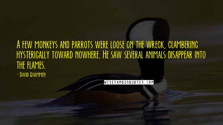 David Quammen Quotes: A few monkeys and parrots were loose on the wreck, clambering hysterically toward nowhere. He saw several animals disappear into the flames.