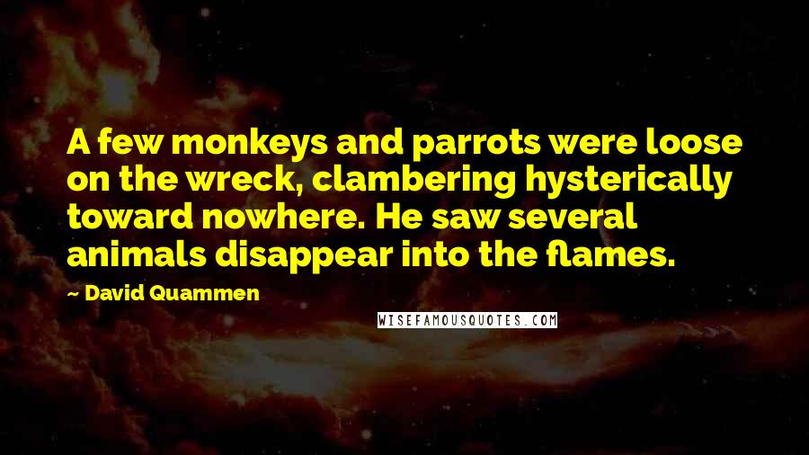 David Quammen Quotes: A few monkeys and parrots were loose on the wreck, clambering hysterically toward nowhere. He saw several animals disappear into the flames.