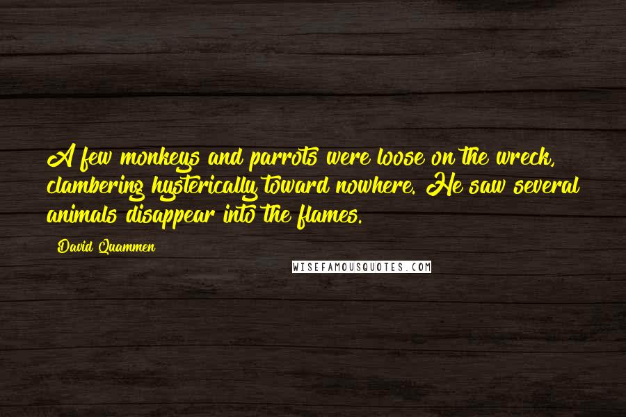 David Quammen Quotes: A few monkeys and parrots were loose on the wreck, clambering hysterically toward nowhere. He saw several animals disappear into the flames.