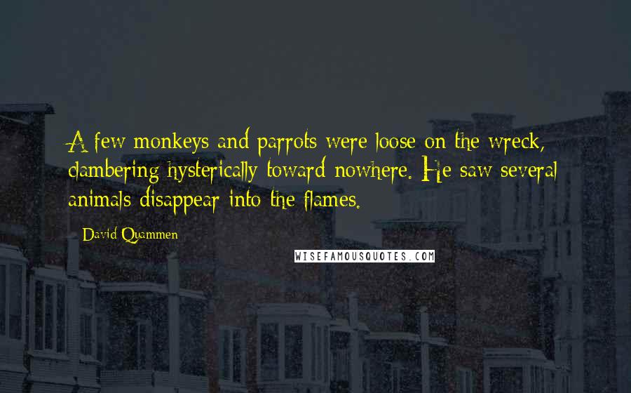 David Quammen Quotes: A few monkeys and parrots were loose on the wreck, clambering hysterically toward nowhere. He saw several animals disappear into the flames.