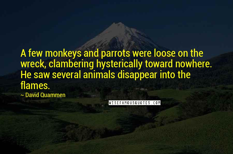David Quammen Quotes: A few monkeys and parrots were loose on the wreck, clambering hysterically toward nowhere. He saw several animals disappear into the flames.