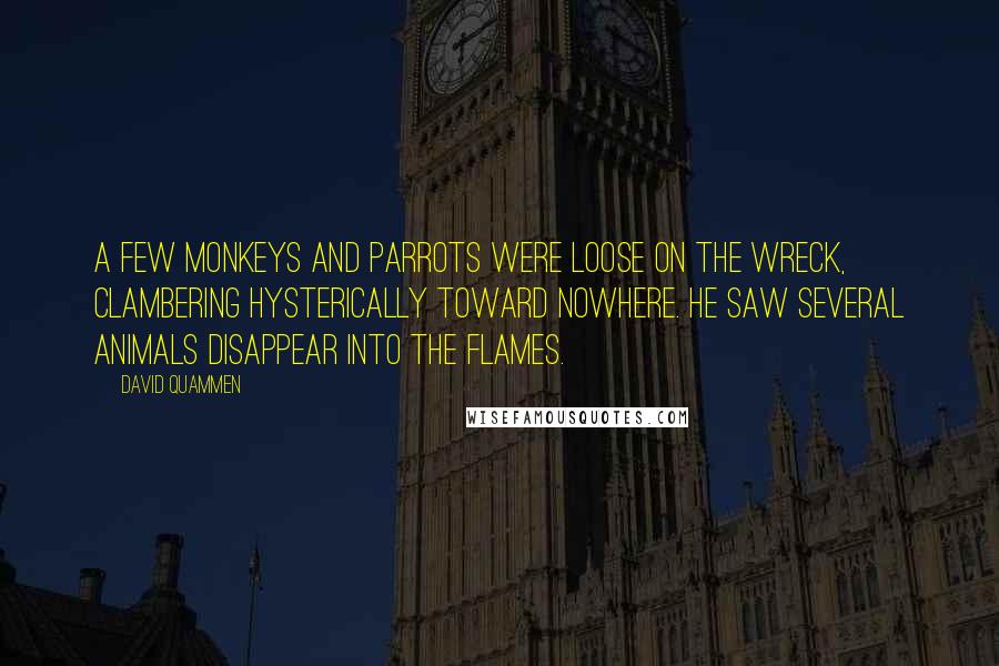 David Quammen Quotes: A few monkeys and parrots were loose on the wreck, clambering hysterically toward nowhere. He saw several animals disappear into the flames.