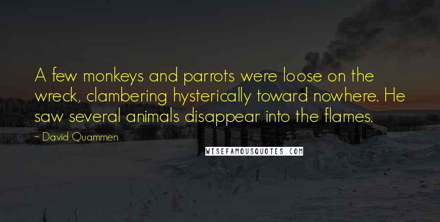 David Quammen Quotes: A few monkeys and parrots were loose on the wreck, clambering hysterically toward nowhere. He saw several animals disappear into the flames.