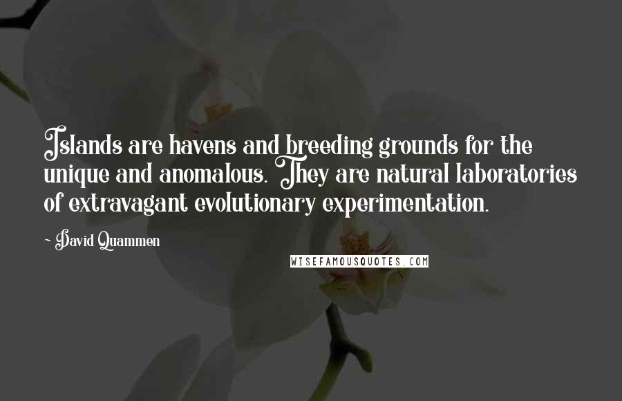 David Quammen Quotes: Islands are havens and breeding grounds for the unique and anomalous. They are natural laboratories of extravagant evolutionary experimentation.