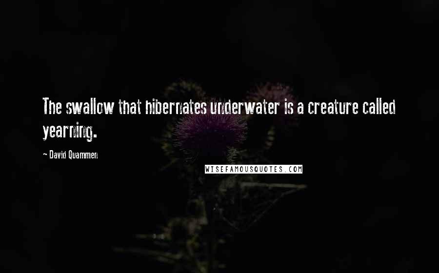 David Quammen Quotes: The swallow that hibernates underwater is a creature called yearning.