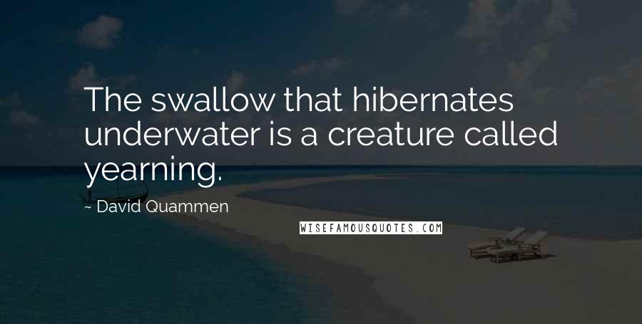 David Quammen Quotes: The swallow that hibernates underwater is a creature called yearning.