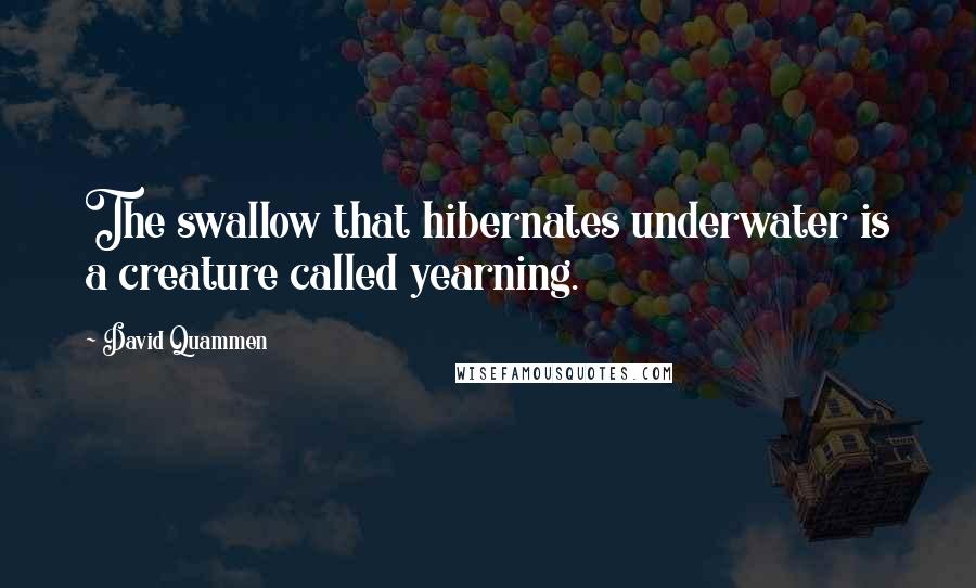 David Quammen Quotes: The swallow that hibernates underwater is a creature called yearning.