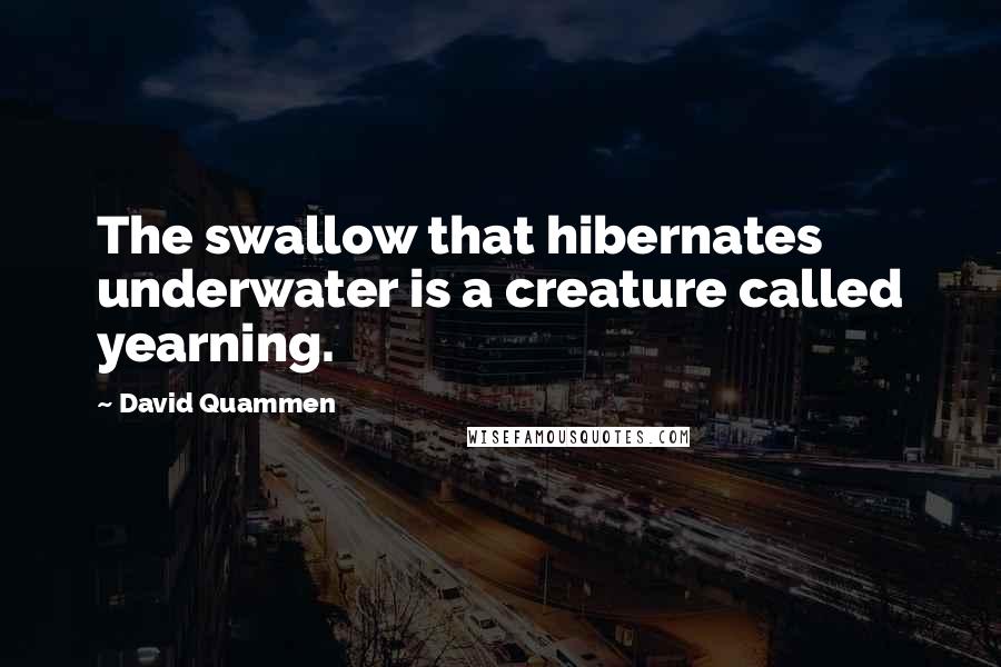David Quammen Quotes: The swallow that hibernates underwater is a creature called yearning.