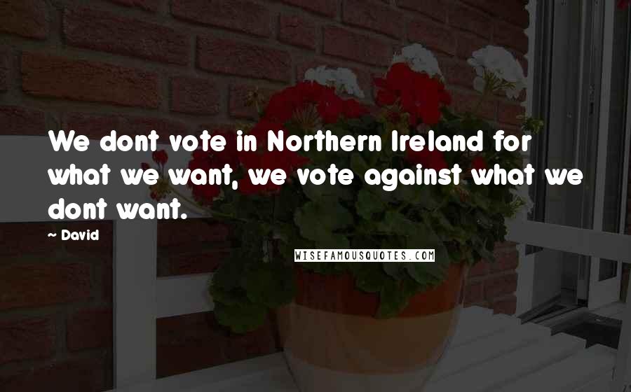 David Quotes: We dont vote in Northern Ireland for what we want, we vote against what we dont want.