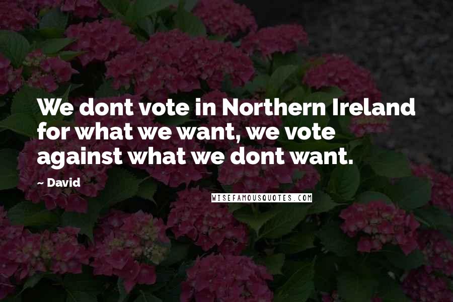 David Quotes: We dont vote in Northern Ireland for what we want, we vote against what we dont want.