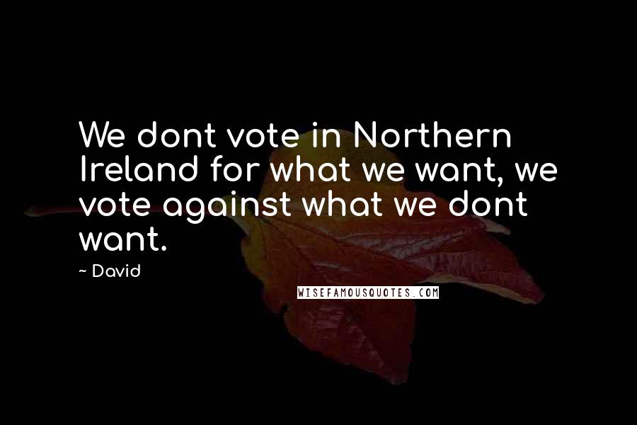 David Quotes: We dont vote in Northern Ireland for what we want, we vote against what we dont want.
