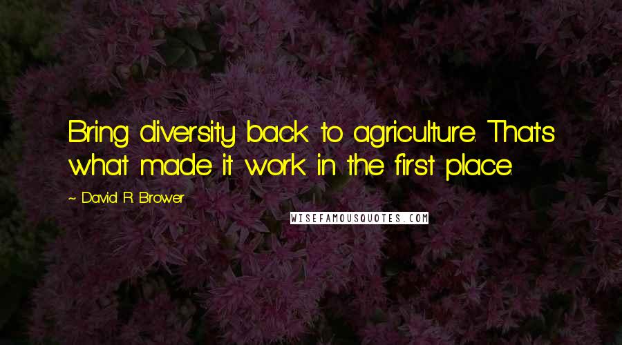 David R. Brower Quotes: Bring diversity back to agriculture. That's what made it work in the first place.