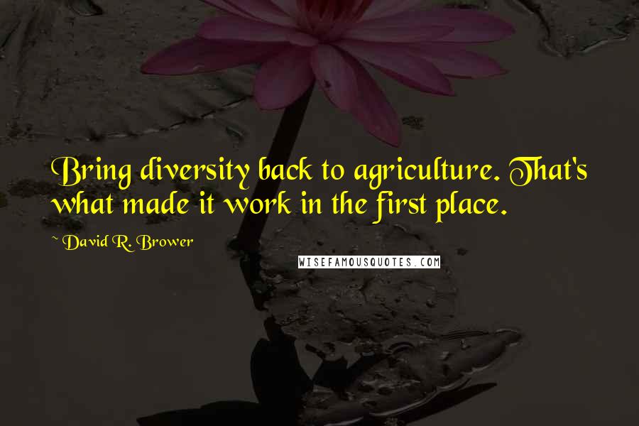 David R. Brower Quotes: Bring diversity back to agriculture. That's what made it work in the first place.