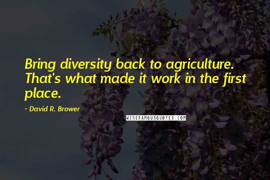 David R. Brower Quotes: Bring diversity back to agriculture. That's what made it work in the first place.