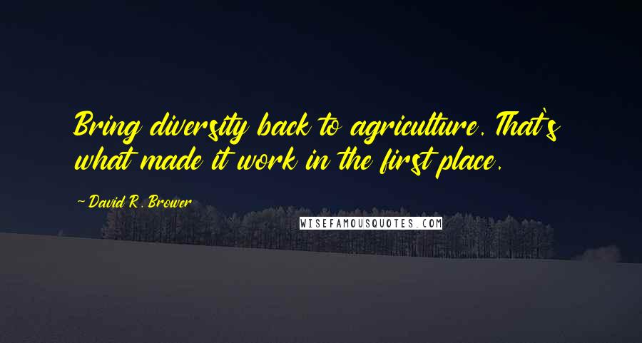 David R. Brower Quotes: Bring diversity back to agriculture. That's what made it work in the first place.