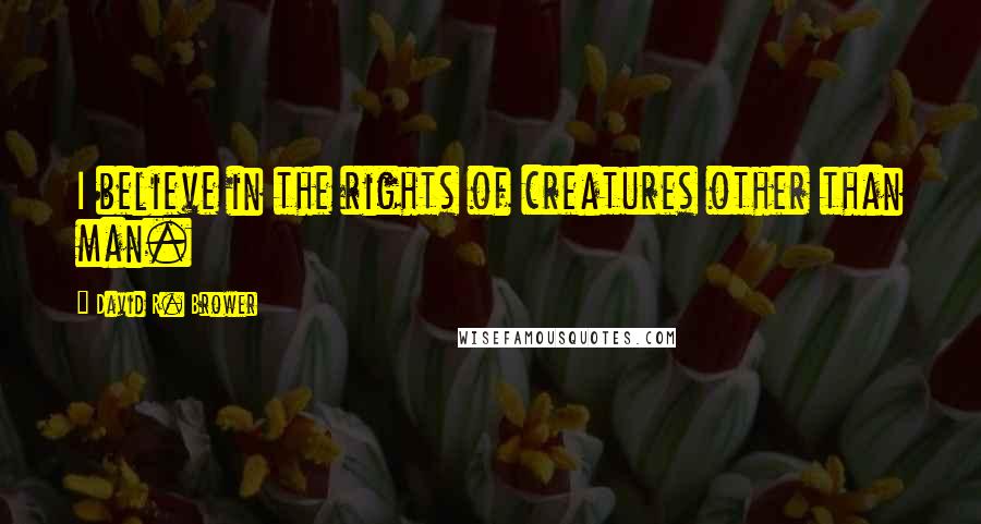 David R. Brower Quotes: I believe in the rights of creatures other than man.