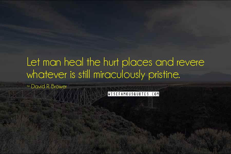 David R. Brower Quotes: Let man heal the hurt places and revere whatever is still miraculously pristine.