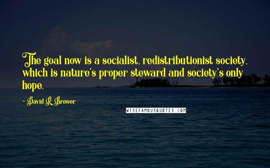 David R. Brower Quotes: The goal now is a socialist, redistributionist society, which is nature's proper steward and society's only hope.