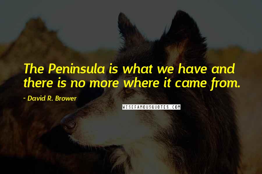 David R. Brower Quotes: The Peninsula is what we have and there is no more where it came from.