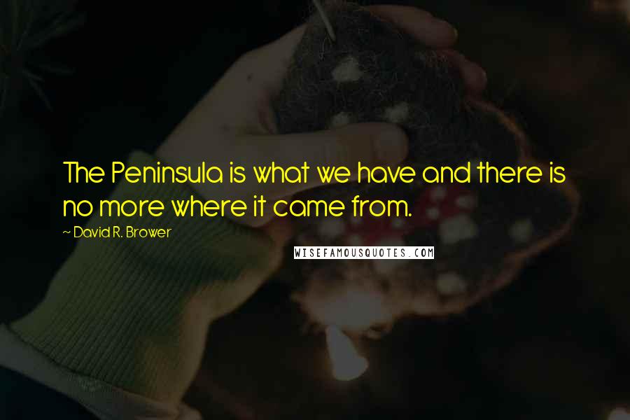 David R. Brower Quotes: The Peninsula is what we have and there is no more where it came from.