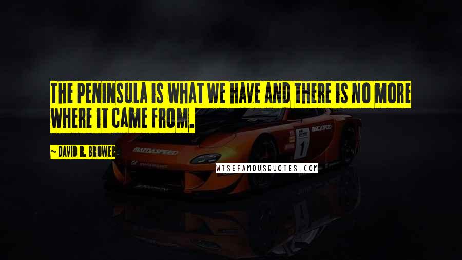 David R. Brower Quotes: The Peninsula is what we have and there is no more where it came from.