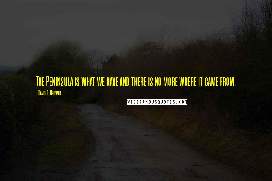 David R. Brower Quotes: The Peninsula is what we have and there is no more where it came from.