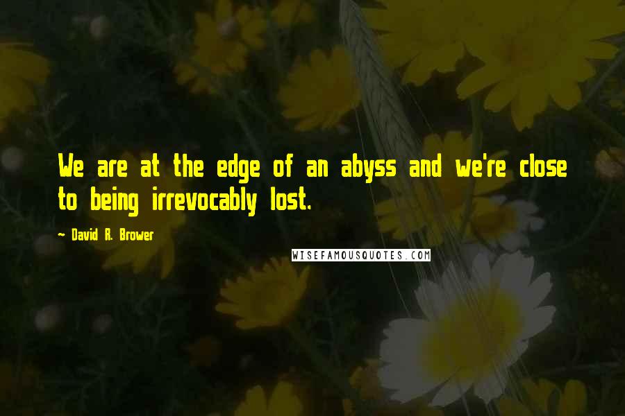 David R. Brower Quotes: We are at the edge of an abyss and we're close to being irrevocably lost.