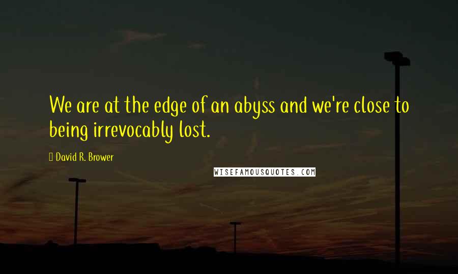 David R. Brower Quotes: We are at the edge of an abyss and we're close to being irrevocably lost.