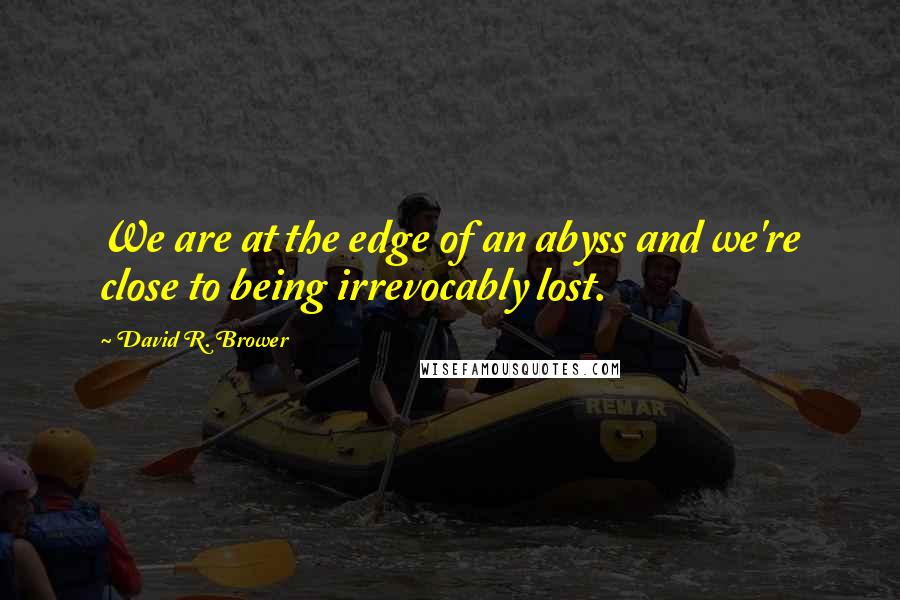 David R. Brower Quotes: We are at the edge of an abyss and we're close to being irrevocably lost.