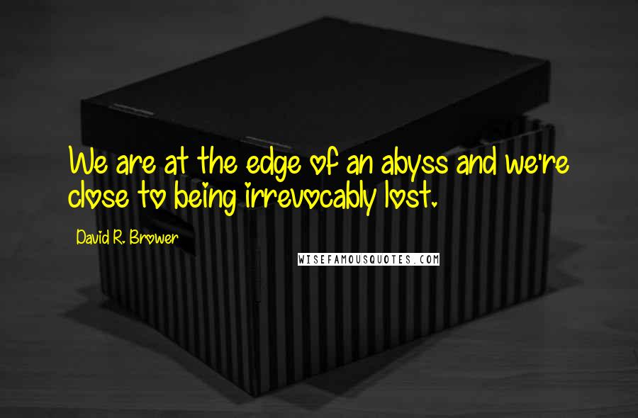 David R. Brower Quotes: We are at the edge of an abyss and we're close to being irrevocably lost.