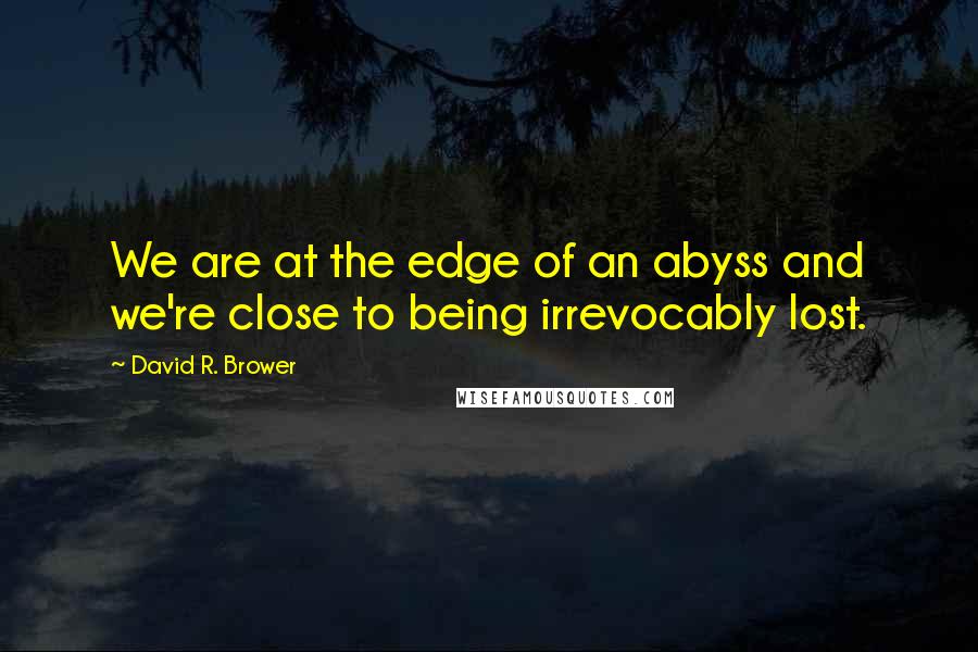 David R. Brower Quotes: We are at the edge of an abyss and we're close to being irrevocably lost.