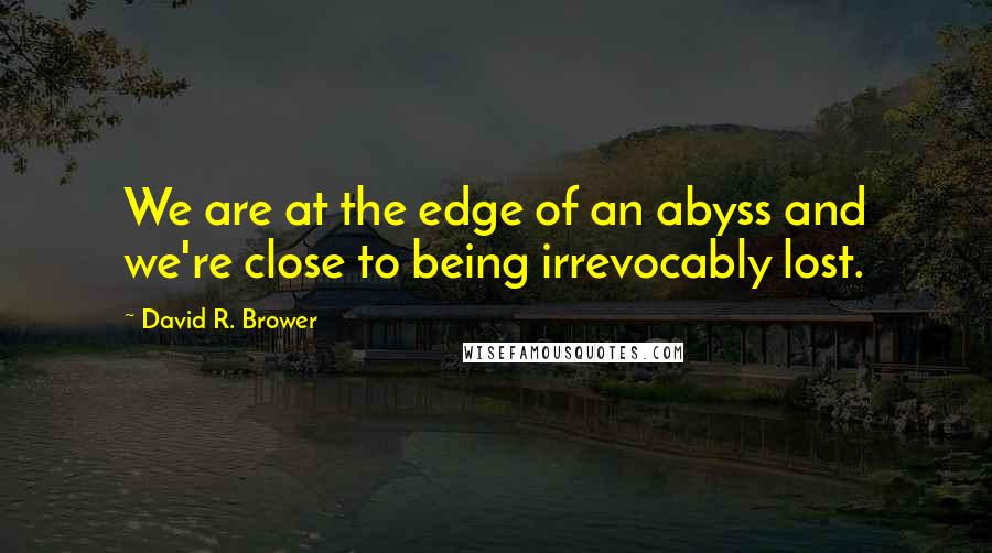 David R. Brower Quotes: We are at the edge of an abyss and we're close to being irrevocably lost.