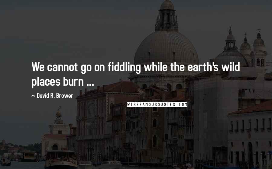 David R. Brower Quotes: We cannot go on fiddling while the earth's wild places burn ...