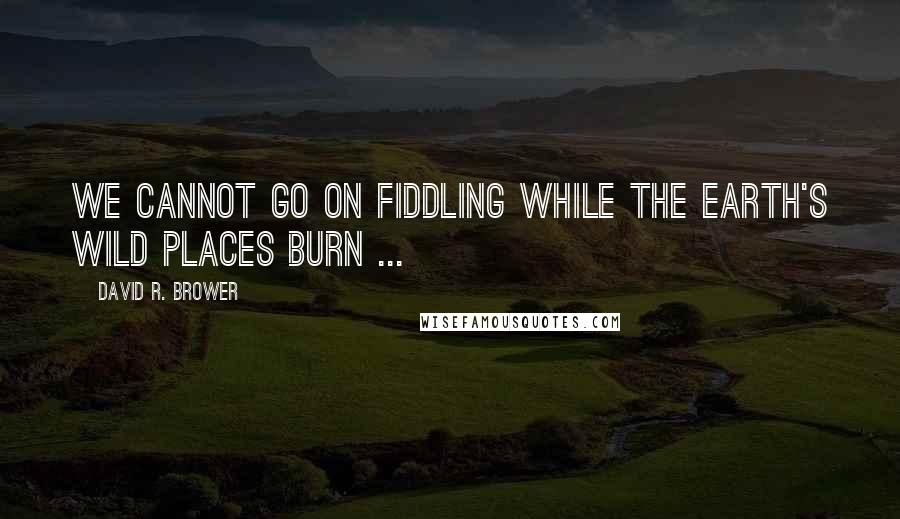 David R. Brower Quotes: We cannot go on fiddling while the earth's wild places burn ...