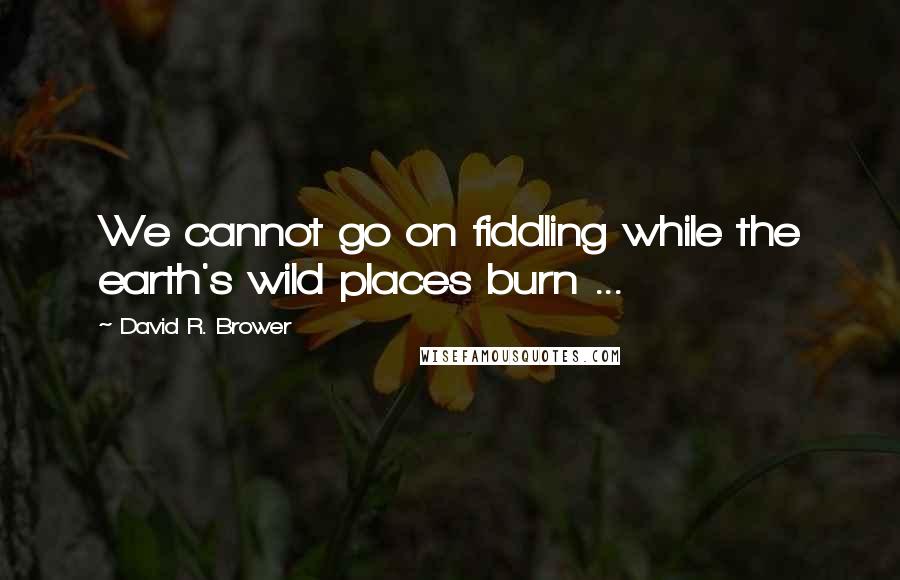 David R. Brower Quotes: We cannot go on fiddling while the earth's wild places burn ...