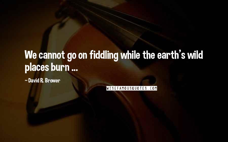 David R. Brower Quotes: We cannot go on fiddling while the earth's wild places burn ...