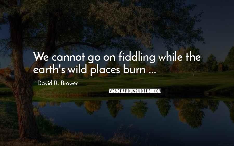 David R. Brower Quotes: We cannot go on fiddling while the earth's wild places burn ...