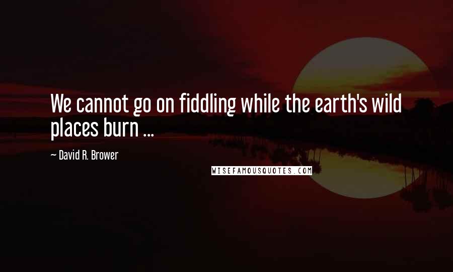 David R. Brower Quotes: We cannot go on fiddling while the earth's wild places burn ...