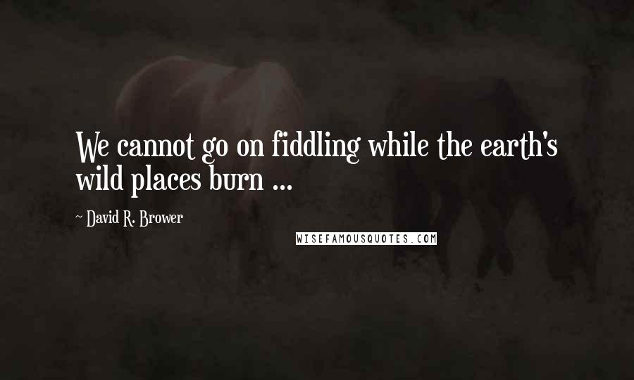 David R. Brower Quotes: We cannot go on fiddling while the earth's wild places burn ...