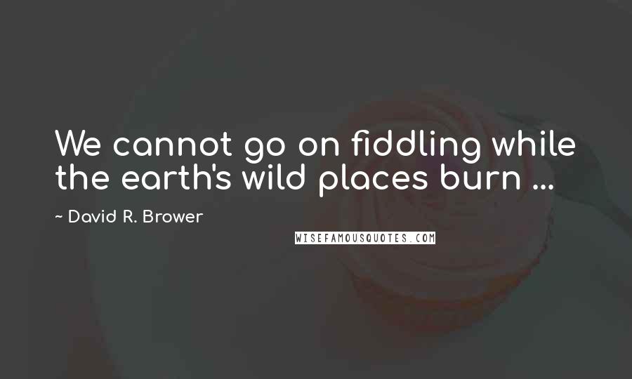 David R. Brower Quotes: We cannot go on fiddling while the earth's wild places burn ...