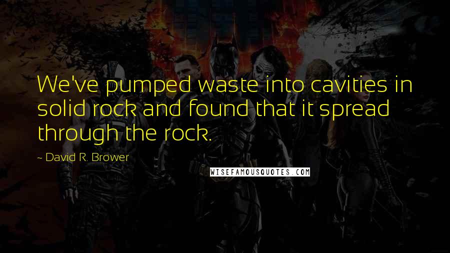 David R. Brower Quotes: We've pumped waste into cavities in solid rock and found that it spread through the rock.