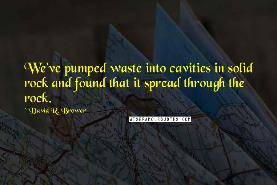 David R. Brower Quotes: We've pumped waste into cavities in solid rock and found that it spread through the rock.