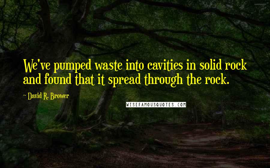 David R. Brower Quotes: We've pumped waste into cavities in solid rock and found that it spread through the rock.