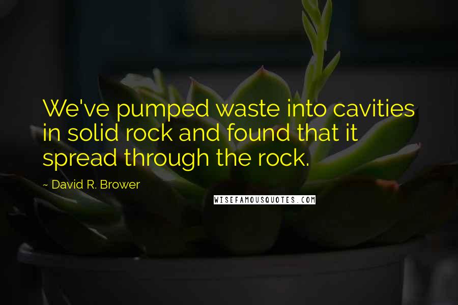 David R. Brower Quotes: We've pumped waste into cavities in solid rock and found that it spread through the rock.