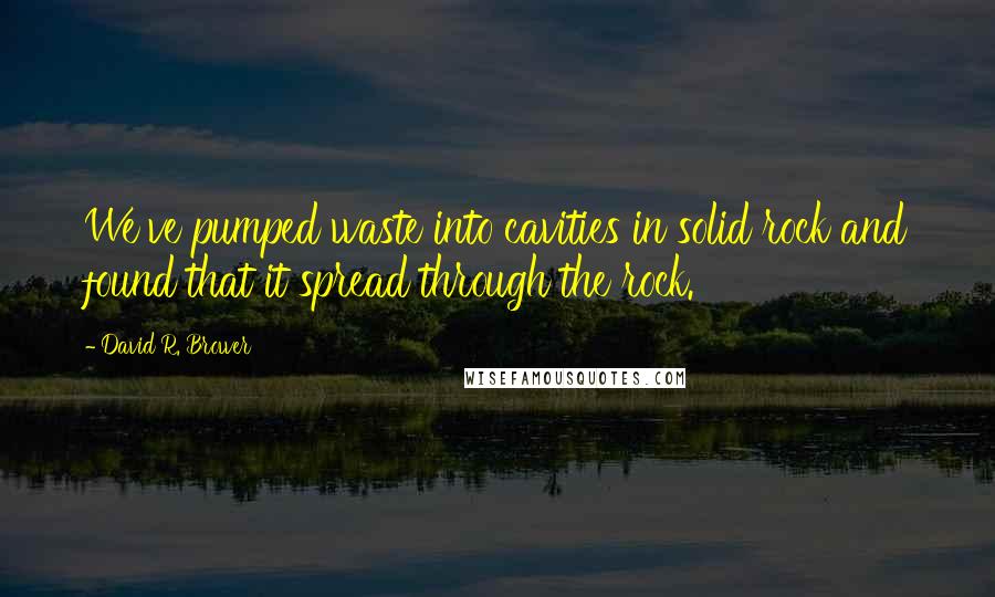 David R. Brower Quotes: We've pumped waste into cavities in solid rock and found that it spread through the rock.