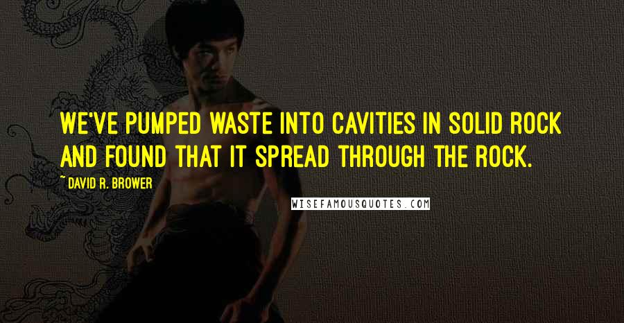 David R. Brower Quotes: We've pumped waste into cavities in solid rock and found that it spread through the rock.