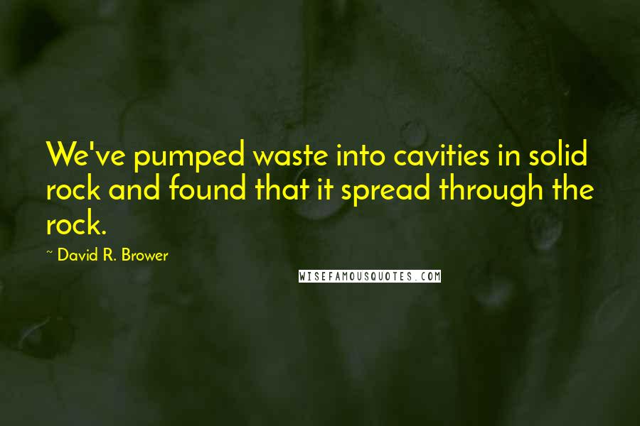 David R. Brower Quotes: We've pumped waste into cavities in solid rock and found that it spread through the rock.